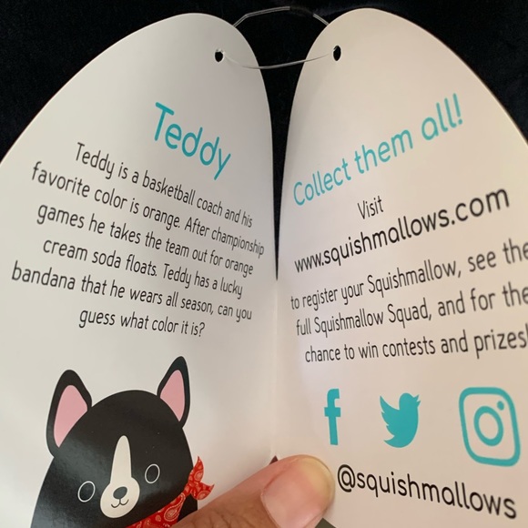 NWT 20” Jumbo 2020 Teddy the Dog Squishmallow vintage OG retired HTF vintage - Picture 7 of 10